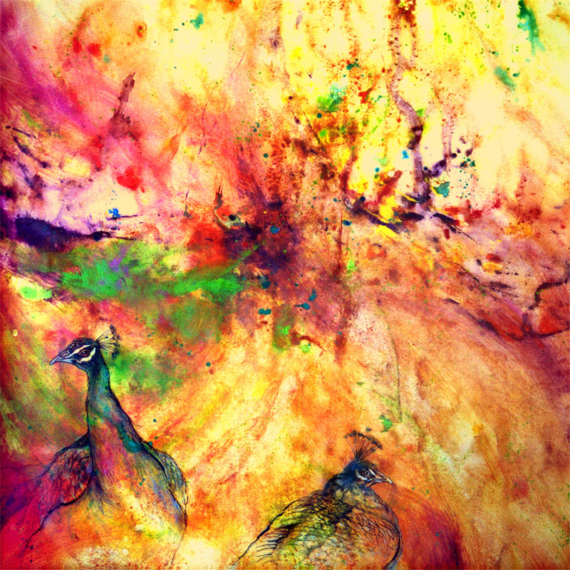 Minhquang Nguyen's painting - Peacock and Peahen